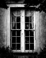 Window to the Past